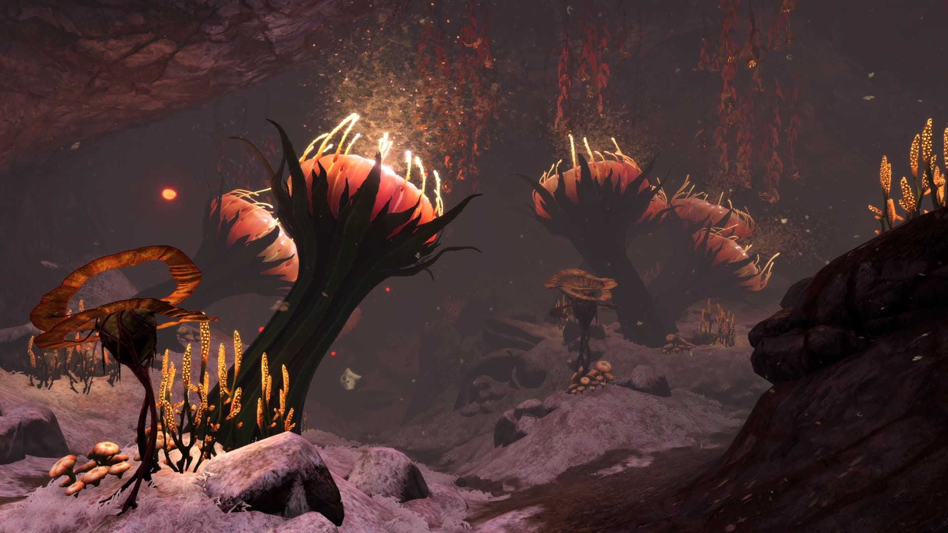 Deep Lilypads