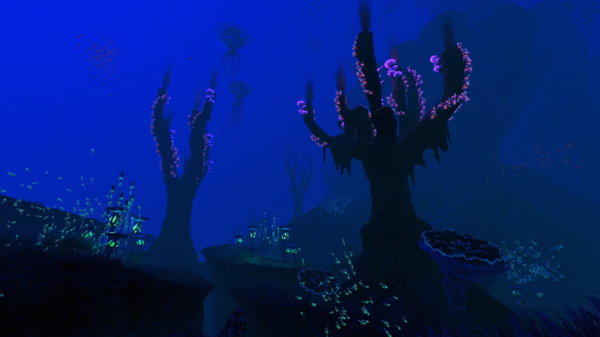 Tree Spires