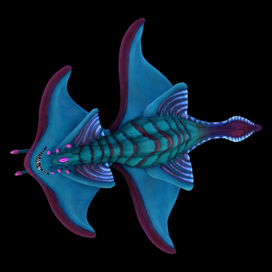 Arctic Ray