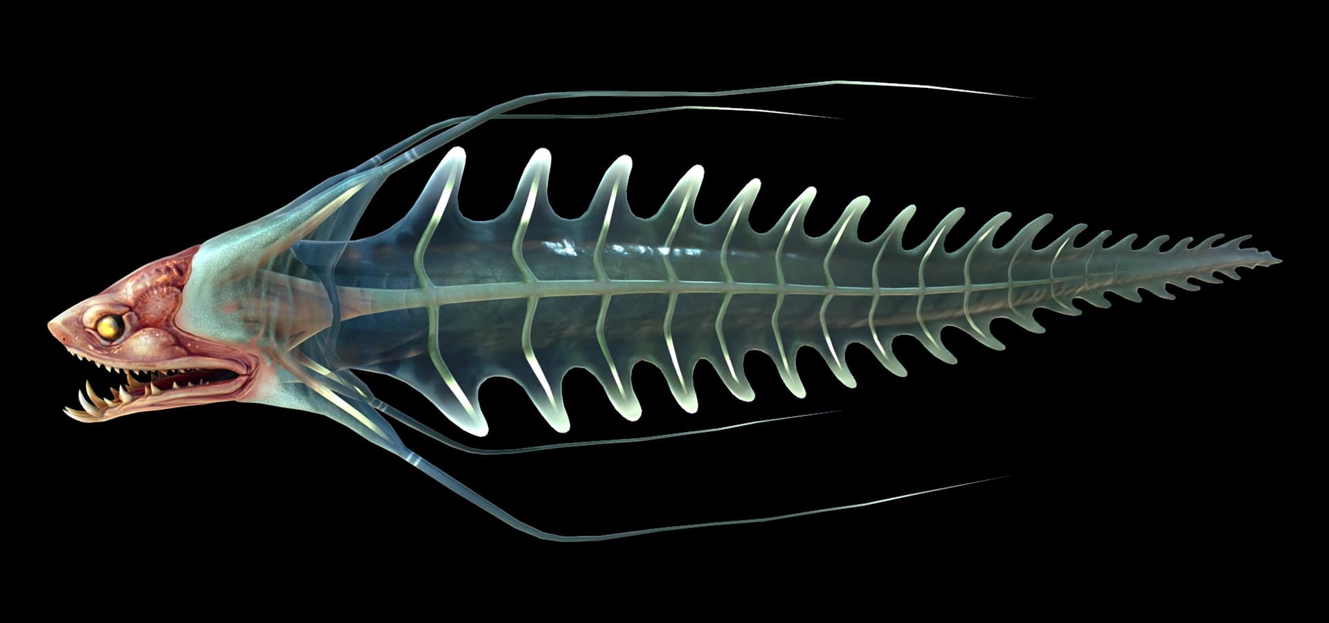 Spire Eel
