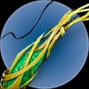 Ribbon Plant