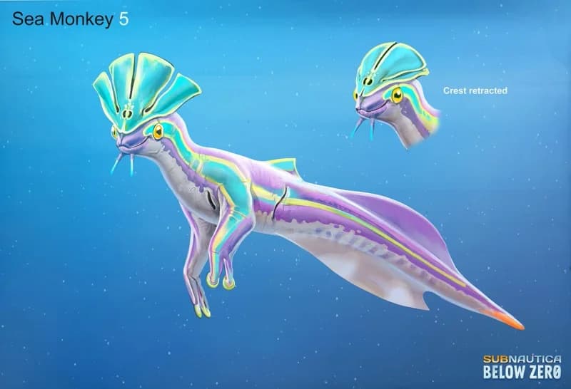 Waterslug