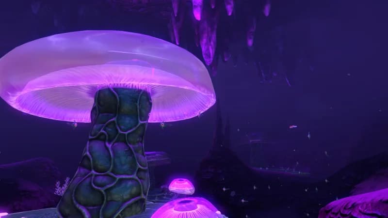 Jellyshroom Caves