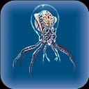 Crabsquid